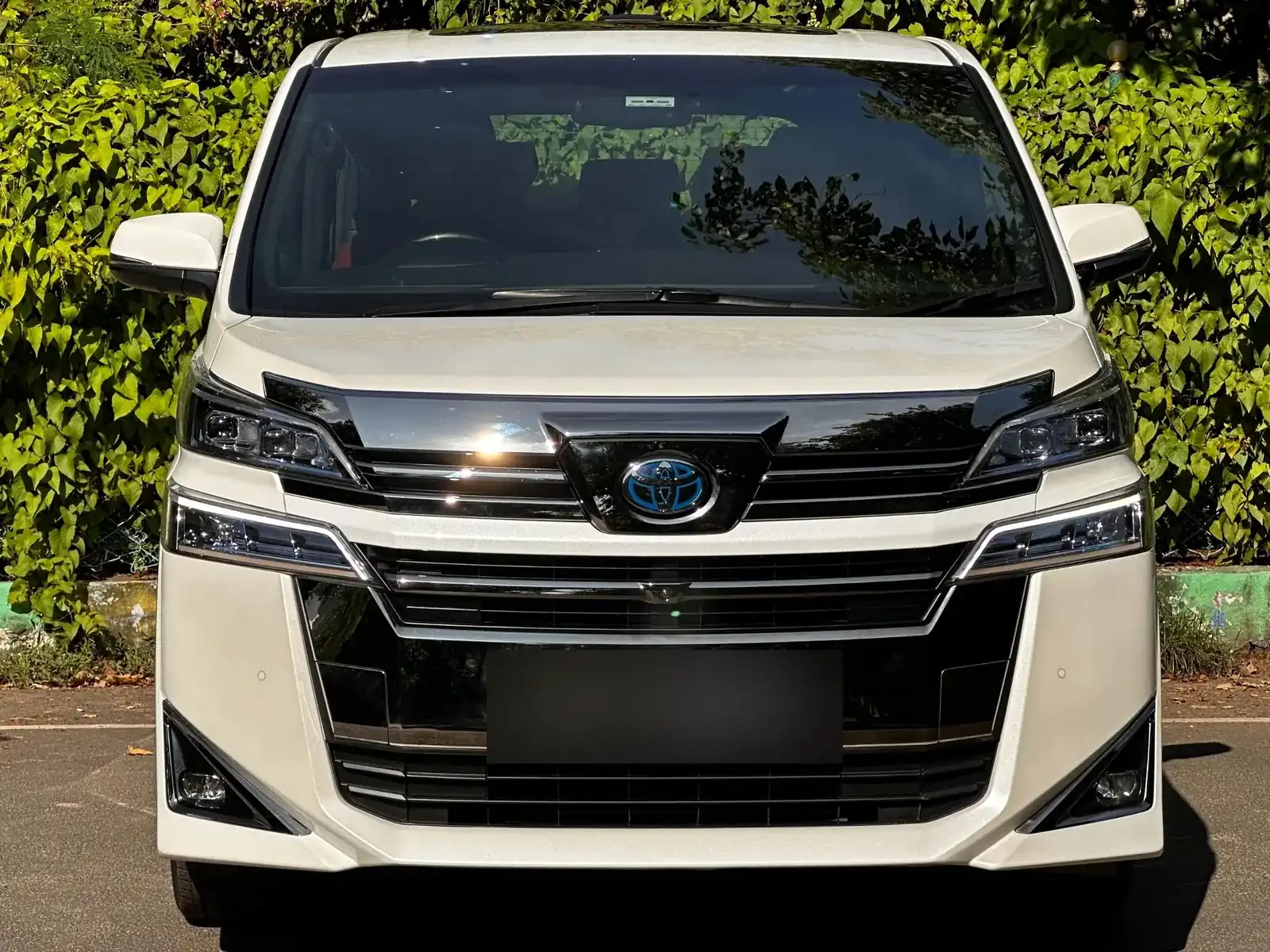 Close-up of the Toyota Vellfire front grille and headlamps